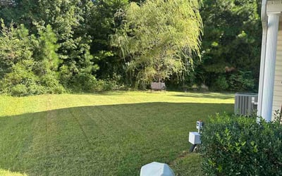 Photo of Stacey D.'s yard after getting lawn care in Knoxville, TN