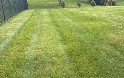 Photo of Cole A.'s yard after getting lawn care in Panama City, FL