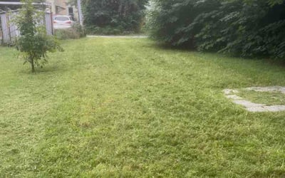 Photo of Brandi P.'s yard after getting lawn care in Tempe, AZ