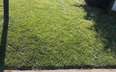 Photo of Gabriel F.'s yard after getting lawn care in Hattiesburg, MS