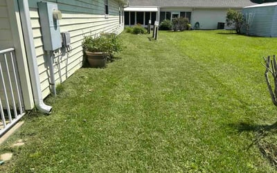 Photo of Wanda H.'s yard after getting lawn care in Spring Hill, TN