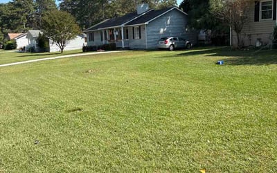 Photo of Jennifer R.'s yard after getting lawn care in Austin, TX