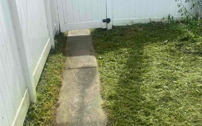 Photo of Emily K.'s yard after getting lawn care in Highland Springs, VA