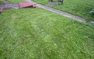 Photo of Shaun H.'s yard after getting lawn care in Baden, PA