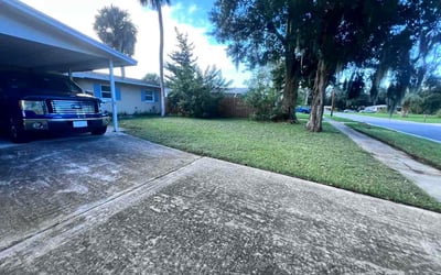 Photo of Jeff M.'s yard after getting lawn care in Mandeville, LA