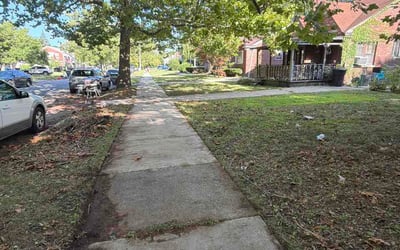 Photo of Billy P.'s yard after getting lawn care in Ansonia, CT