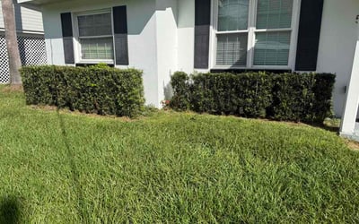 Photo of Robert J.'s yard after getting lawn care in Broken Arrow, OK