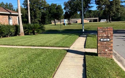 Photo of Justin R.'s yard after getting lawn care in South Milwaukee, WI