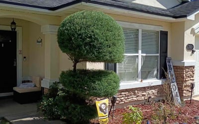 Photo of Jayson Y.'s yard after getting lawn care in Wilkes Barre, PA