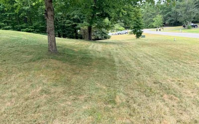 Photo of David G.'s yard after getting lawn care in Universal City, TX