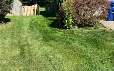 Photo of Maria F.'s yard after getting lawn care in Hazleton, PA