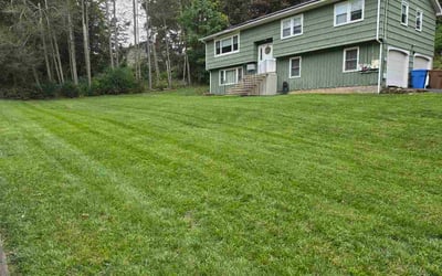 Photo of Brittany J.'s yard after getting lawn care in Gallatin, TN