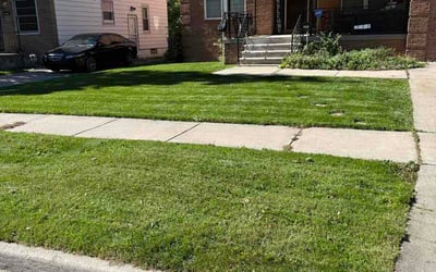 Photo of Curtis B.'s yard after getting lawn care in Gallatin, TN