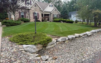 Photo of Yaroslava G.'s yard after getting lawn care in Kyle, TX