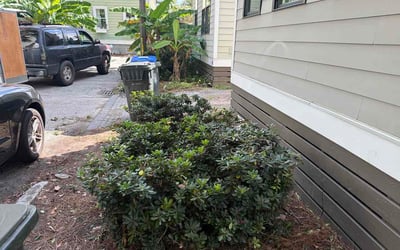 Photo of Angie S.'s yard after getting lawn care in La Vergne, TN