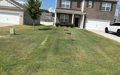 Photo of Diane A.'s yard after getting lawn care in Lake Zurich, IL