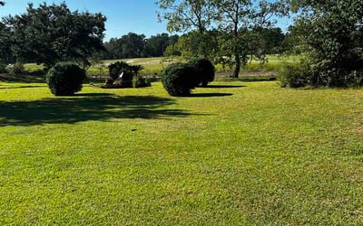 Photo of Tiffany G.'s yard after getting lawn care in Land O' Lakes, FL