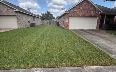 Photo of Lisa P.'s yard after getting lawn care in Saint Paul, MN