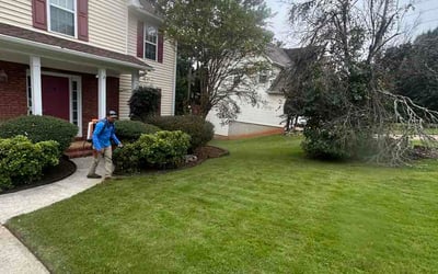 Photo of Jay W.'s yard after getting lawn care in Jacksonville, FL