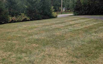 Photo of Jordan S.'s yard after getting lawn care in Fairfield, OH
