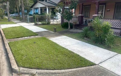 Photo of Damien B.'s yard after getting lawn care in Huntsville, AL