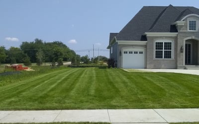 Photo of Erin W.'s yard after getting lawn care in Saint Charles, IL