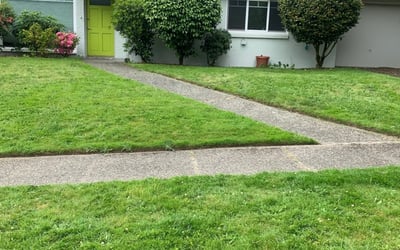 Photo of Martin J.'s yard after getting lawn care in Bothell West, WA
