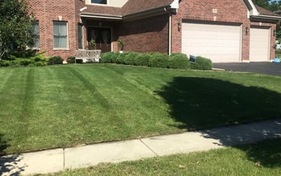Photo of Denise B.'s yard after getting lawn care in Saint Charles, IL