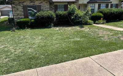 Photo of Hannah J.'s yard after getting lawn care in Brownsville, TX