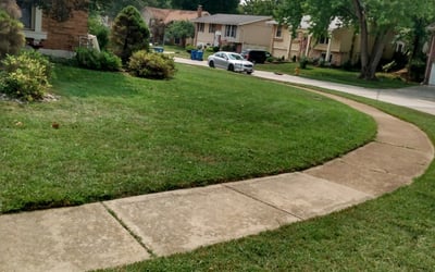 Photo of JaiNeil R.'s yard after getting lawn care in Oakville, MO
