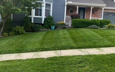 Photo of Lakendra W.'s yard after getting lawn care in Branson, MO
