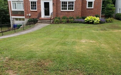 6 Best Landscapers in East Setauket NY Landscaping from $29 Best