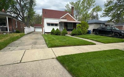 Photo of Dionne I.'s yard after getting lawn care in Brownstown, MI