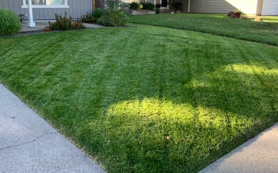 Photo of Hannah B.'s yard after getting lawn care in South Lake Tahoe, CA