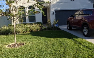 Lawn Care Mowing Services Arcadia thumbnail