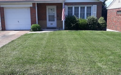 Photo of Judy M.'s yard after getting lawn care in Oakville, MO