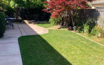 Photo of Monica A.'s yard after getting lawn care in South Lake Tahoe, CA