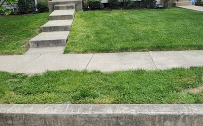 Photo of Brett N.'s yard after getting lawn care in Windsor Mill, MD