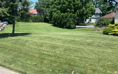 25 Best Landscapers in Lexington KY Landscaping from $29 Best of 2024