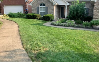 Photo of Carleen T.'s yard after getting lawn care in Versailles, KY