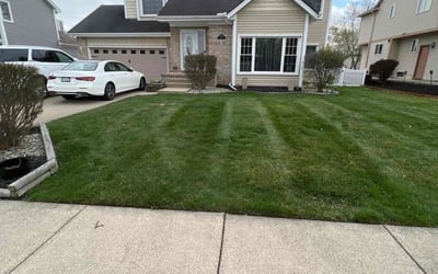 Photo of Morgan N.'s yard after getting lawn care in Brownstown, MI