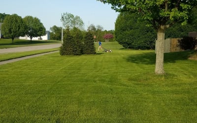 Photo of Bethany V.'s yard after getting lawn care in Cedar Springs, MI