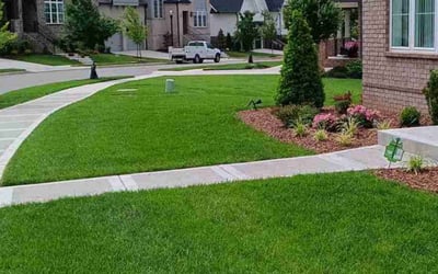 Photo of Eric N.'s yard after getting lawn care in Pleasant View, TN