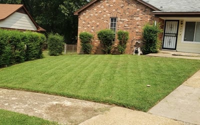 Carter Lawn Care & Landscaping
