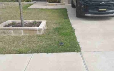Photo of timesha -.'s yard after getting lawn care in Brownsville, TX