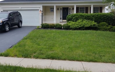Photo of Ricky T.'s yard after getting lawn care in Riverdale, MD