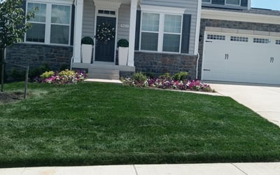 Photo of Sharif M.'s yard after getting lawn care in Riverdale, MD