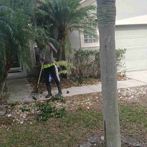Bush Trimming by B&t lawn service reviewed on May 31, 2022