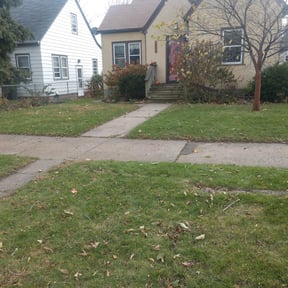 Cleanups by Advanced Home & Lawn Care LLC reviewed on June 29, 2022