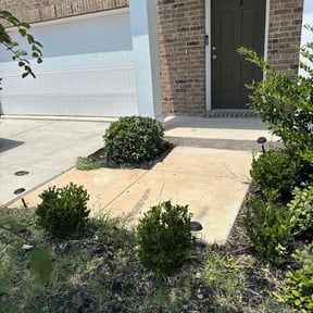 Bush Trimming by Double F Lawns reviewed on January 30, 2025